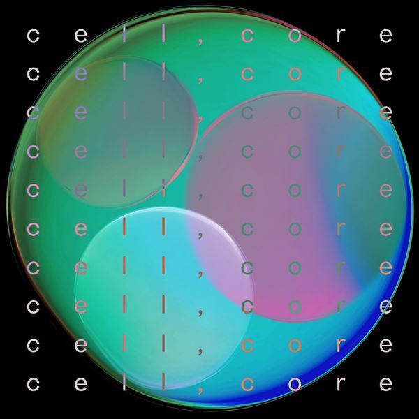 リーガルリリー「アルケミラ」MV公開、『ミッドナイトスワン』ヒロイン役の服部樹咲が出演