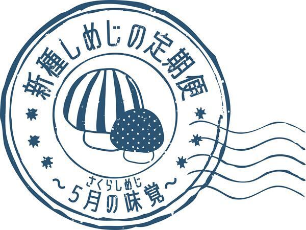 さくらしめじ、未解禁曲を披露する隔月ワンマンライブ『新種しめじの定期便』始動