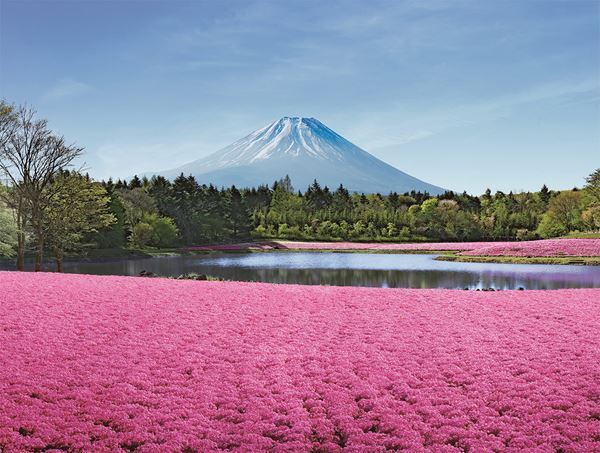 1位は紅、白、ピンクのグラデーションが楽しめる「花桃」の名所　「春の花」絶景ランキングTOP10！