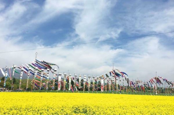 1位は紅、白、ピンクのグラデーションが楽しめる「花桃」の名所　「春の花」絶景ランキングTOP10！