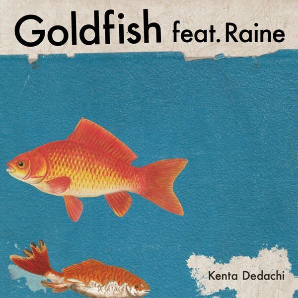 Kenta Dedachi、新曲「Goldfish feat. Raine」配信リリース＆バンド編成のワンマンライブ開催決定