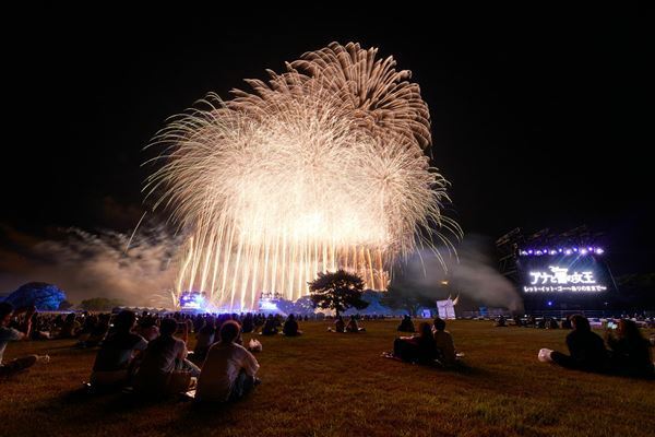 ディズニーの名曲と花火が融合！　25,000人が集結した『Disney Music & Fireworks』茨城公演のレポート到着