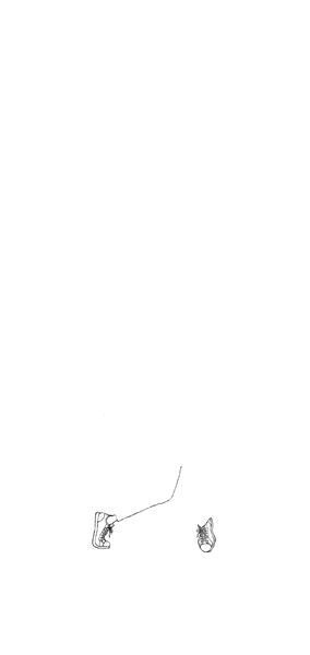 【エルヴィス・プレスリー】及川正通イラストの制作過程をレポート