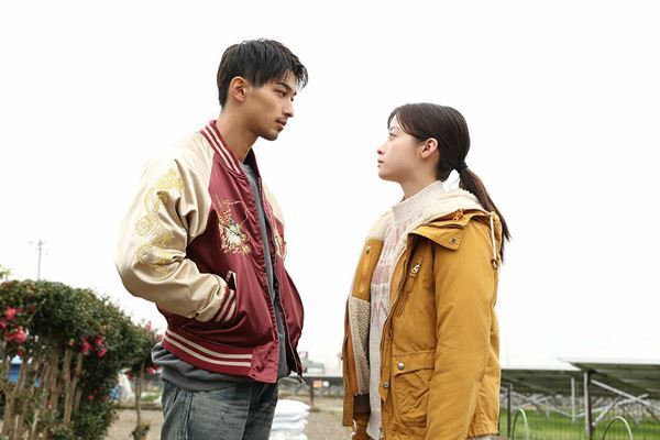 【おとなの映画ガイド】ボクシングシーンがハンパではない！ 沢木耕太郎の小説を佐藤浩市と横浜流星のダブル主演で瀬々敬久監督が映画化──『春に散る』