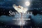大量の水と映像、照明で新しく幻想的な『白鳥の湖』を表現　バレエ『SWAN LAKE ON WATER』8月開催