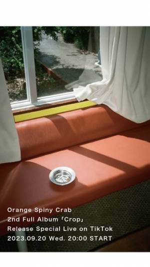 オレンジスパイニクラブ、ニューアルバム『Crop』全曲ティザー映像公開　スペシャルライブをTikTokで生配信