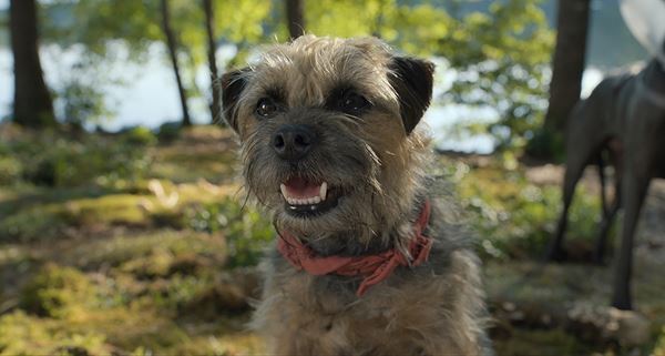 映画『スラムドッグス』で再タッグ！　話題作を生み出し続けるハリウッドのプロデューサーコンビとは？