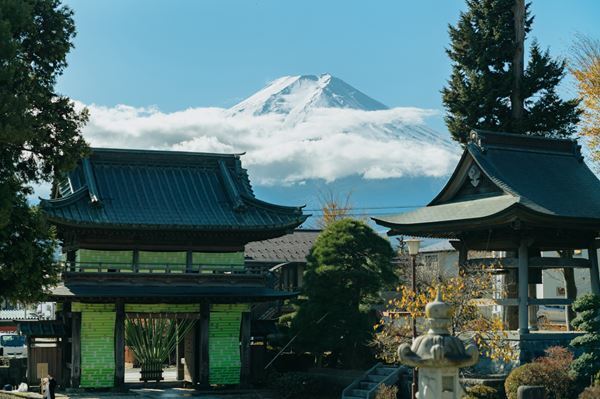 テキスタイルと芸術が融合する国内唯一の布の芸術祭「FUJI TEXTILE WEEK 2023」開催