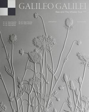 Galileo Galilei、初期メンバー岩井郁人を含む4人体制で始動　7年ぶりのライブツアーが決定