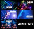 GRAPEVINE、最新ライブセッション映像“OUR NEW FRUITS”を5週連続公開