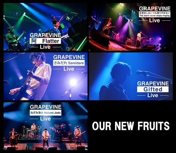 GRAPEVINE、最新ライブセッション映像“OUR NEW FRUITS”を5週連続公開