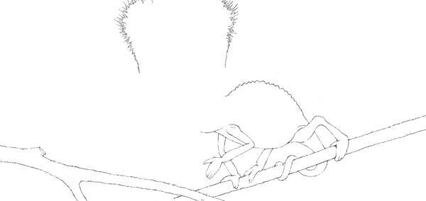 【サンドウィッチマン 富澤たけし】及川正通イラストの制作過程をレポート