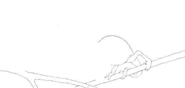 【サンドウィッチマン 富澤たけし】及川正通イラストの制作過程をレポート