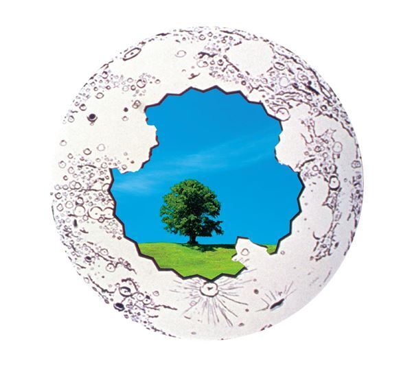 七尾旅人、デビューアルバム『雨に撃たえば...! disc2』や3枚組アルバム『911 FANTASIA』を含む旧譜6作品を一挙配信