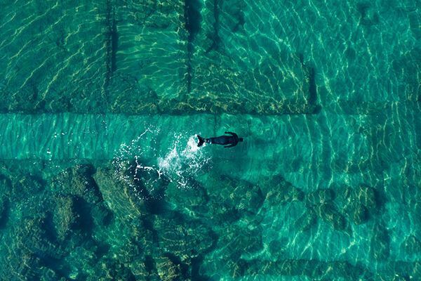 環境問題をはじめとする様々な課題について多様な視点で考える『私たちのエコロジー』10月18日より開催