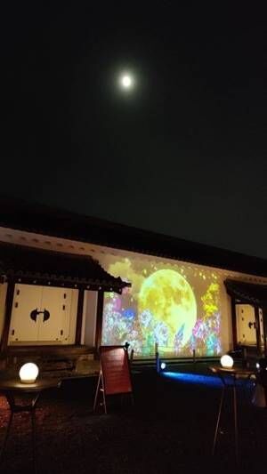 京都二条城の夜をカラフルに彩る「NAKED FLOWERS 2023 秋 世界遺産・二条城」内覧会レポート