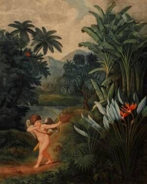 ロバート・ジョン・ソーントン『フローラの神殿』より「植物に愛を射込むクピド」1798-1807年刊町田市立国際版画美術館