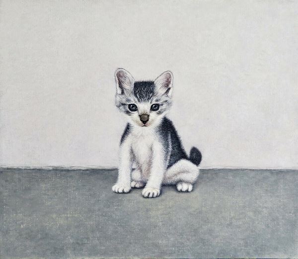 自由、野生、ユーモア、ナンセンス溢れる、ねこのような現代美術を紹介『ねこのほそ道』２月25日より開催