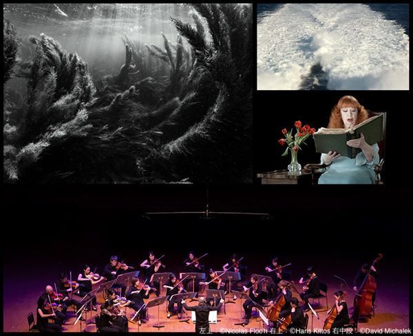 “世界中の新しい響き”を堪能。「ボンクリ・フェス 2023」が今年も開催