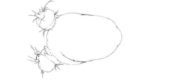 【藤田ニコル】ぴあ及川正通イラストの制作過程をレポート