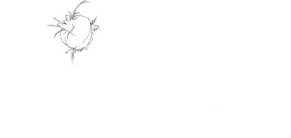 【藤田ニコル】ぴあ及川正通イラストの制作過程をレポート