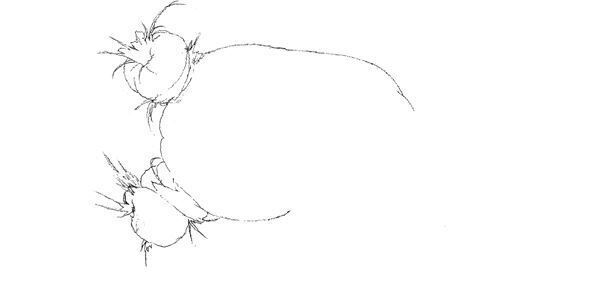 【藤田ニコル】ぴあ及川正通イラストの制作過程をレポート