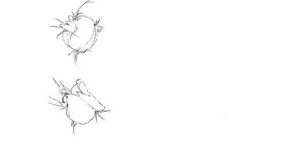 【藤田ニコル】ぴあ及川正通イラストの制作過程をレポート