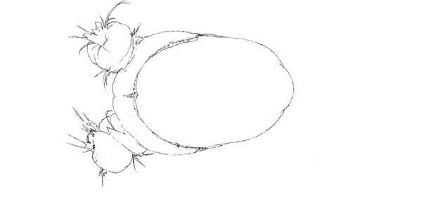 【藤田ニコル】ぴあ及川正通イラストの制作過程をレポート