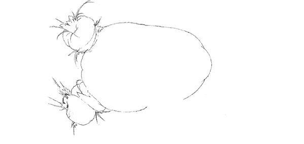 【藤田ニコル】ぴあ及川正通イラストの制作過程をレポート