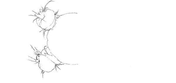 【藤田ニコル】ぴあ及川正通イラストの制作過程をレポート