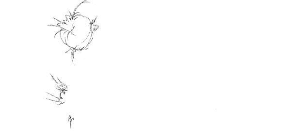 【藤田ニコル】ぴあ及川正通イラストの制作過程をレポート