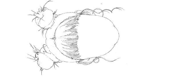 【藤田ニコル】ぴあ及川正通イラストの制作過程をレポート