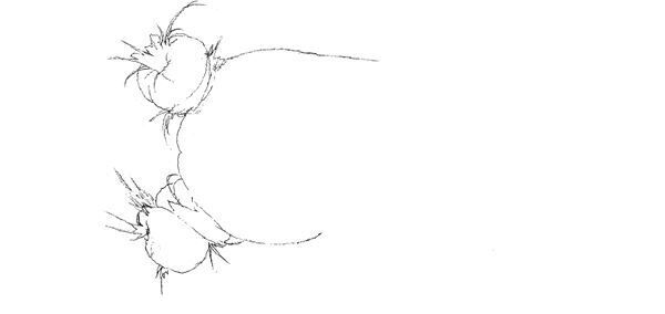 【藤田ニコル】ぴあ及川正通イラストの制作過程をレポート