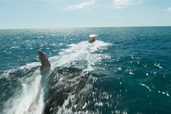 伝説の巨大ザメが人類に怒りの断罪を喰らわす『ブラック・デーモン 絶体絶命』デジタル配信スタート