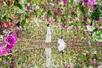 「チームラボプラネッツ TOKYO DMM」が拡張　新たな2作品を加え、計9作品の「水に入るミュージアムと花と一体化する庭園」へ