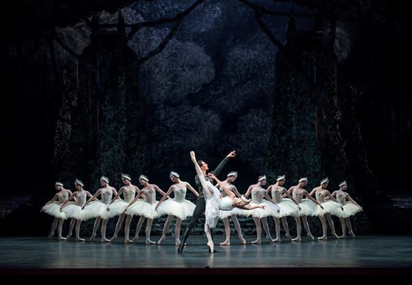 吉田都監督がダンサーたちとじっくり創り上げるライト版『白鳥の湖』で幕開け 新国立劇場バレエ団2021/2022ラインアップ