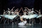 吉田都監督がダンサーたちとじっくり創り上げるライト版『白鳥の湖』で幕開け 新国立劇場バレエ団2021/2022ラインアップ