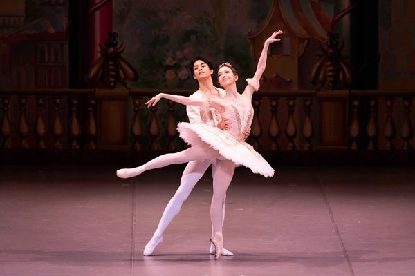 『くるみ』はバレエ鑑賞デビューにぴったりの作品です！ ～東京バレエ団『くるみ割り人形』足立真里亜インタビュー～