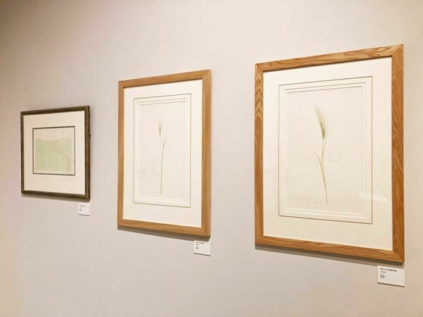 市原湖畔美術館『末盛千枝子と舟越家の人々―絵本が生まれるとき―』をレポート 数々の美しい絵本を生み出した編集者の足跡をたどる