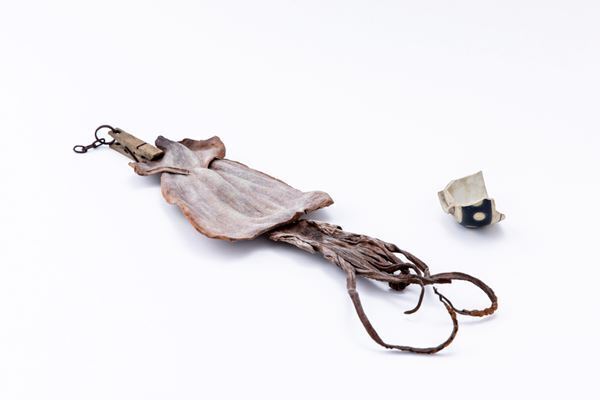 誰にも真似できないことに挑戦し続ける作家たちの作品を紹介『特別展 超絶技巧、未来へ！』9月12日より開催