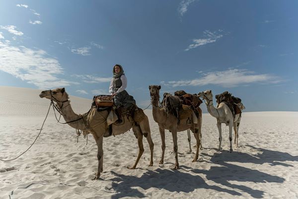 “キュンおじ”デヴィッド・テナント「各エピソードが1本の映画のよう」　ドラマ『80日間世界一周』スペシャル映像公開