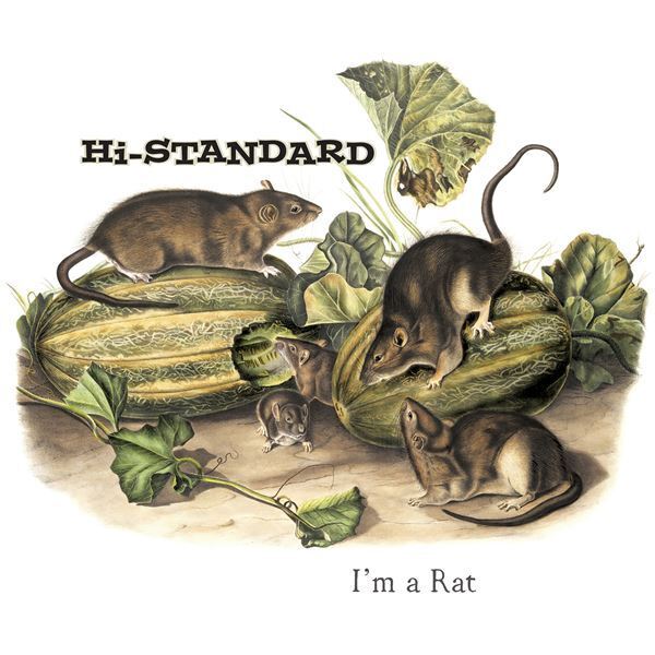 Hi-STANDARD、新曲「I'M A RAT」米所属レーベルFat Wreck Chordsより7インチピクチャー・ディスクで発売決定