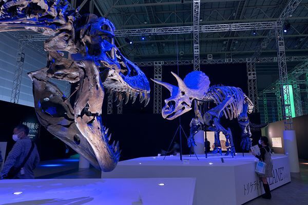 『DinoScience 恐竜科学博 2023』が今夏、六本木で開催決定！