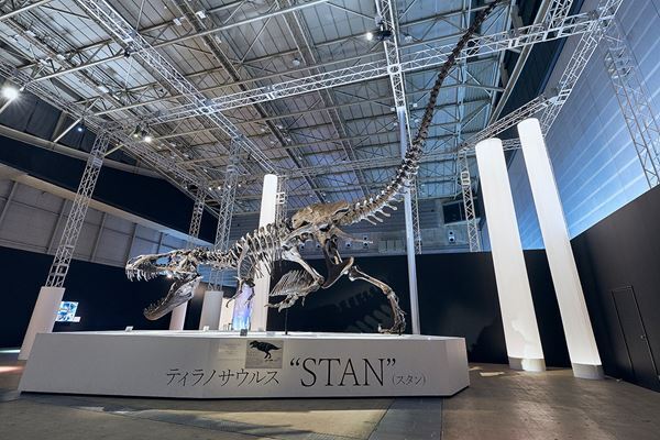 『DinoScience 恐竜科学博 2023』が今夏、六本木で開催決定！
