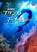林翔太、七木奏音ら続投『プリンス・オブ・マーメイド2022』稽古場映像到着
