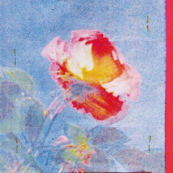 yonawo、どんぐりずを客演に迎えた新曲リリース決定　『YONAWO YAON』グッズ詳細も発表