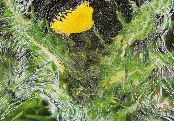 アーティストデュオ・Nerholの大規模個展が千葉市美術館で　千葉市をテーマにした最新作も発表