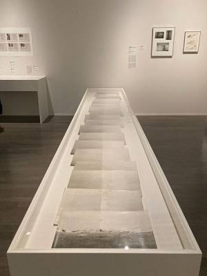 『中平卓馬　火―氾濫』東京国立近代美術館で開幕　初期から晩年までを網羅する没後初の大回顧展