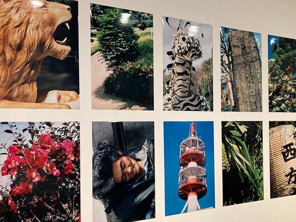 『中平卓馬　火―氾濫』東京国立近代美術館で開幕　初期から晩年までを網羅する没後初の大回顧展