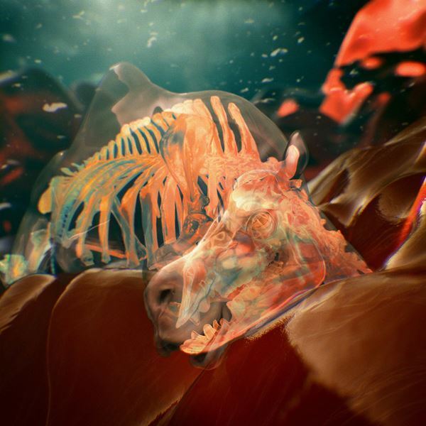 Kroi、新曲「Water Carrier」が鳥山明原作『SAND LAND: THE SERIES』OPテーマに